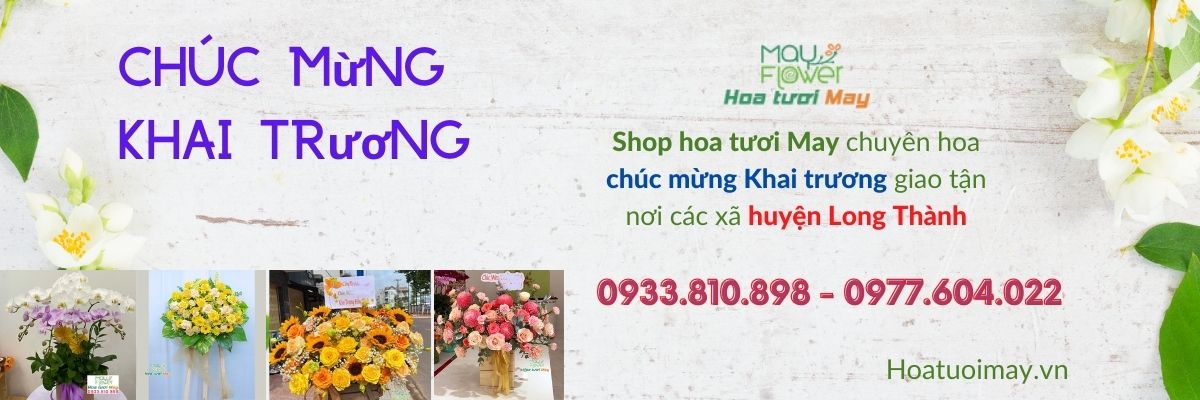 Shop chuyên hoa chúc mừng khai trương ở Long Thành hoa đẹp, giá bình dân