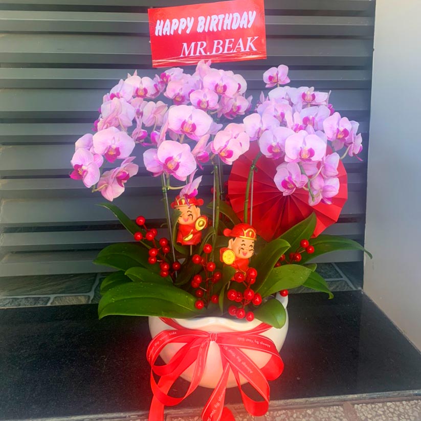 Hoa lan chúc mừng sinh nhật tại Long Thành, Nhơn Trạch
