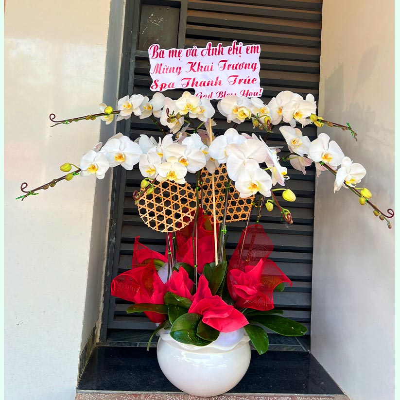 Hoa lan hồ điệp chúc mừng tại Long Thành, Nhơn Trạch